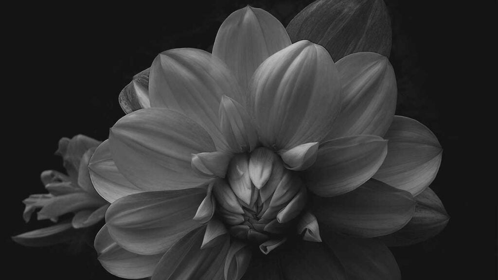 strategic and efficient advice