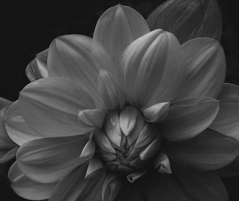 strategic and efficient advice